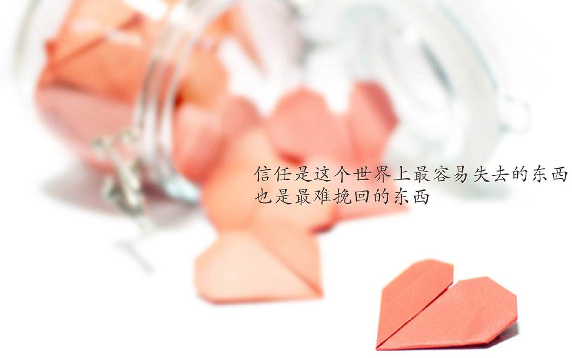 48队乱战时代的欧洲妖星橱窗：首轮赛后预计身价暴涨的五大超新星探秘